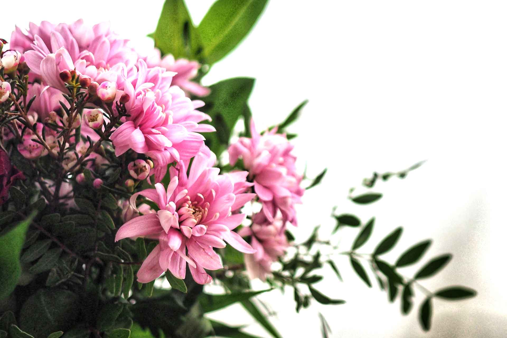 Services - Evénements